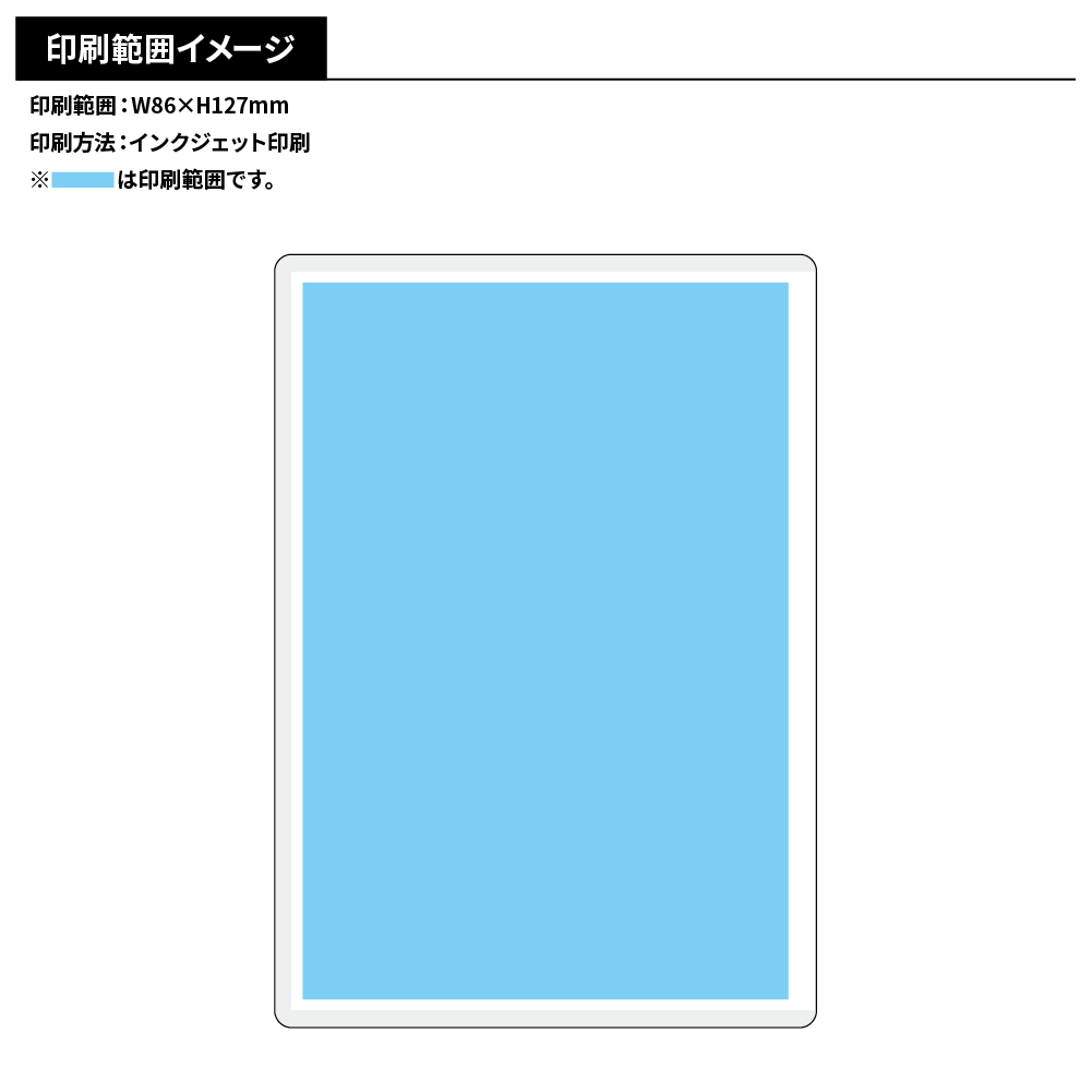 硬質カードケース(チェキサイズ)