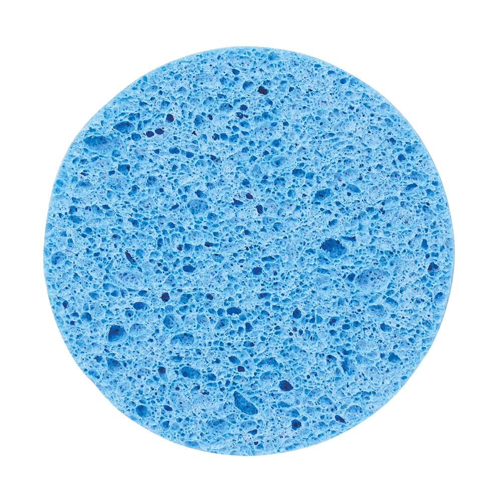 地球スポンジ　#CO2排出権付