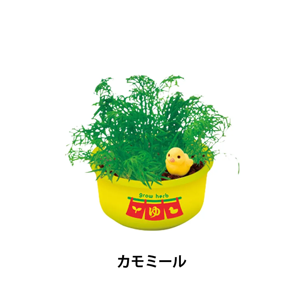 育てるカプセル ゆ桶でハーブ栽培