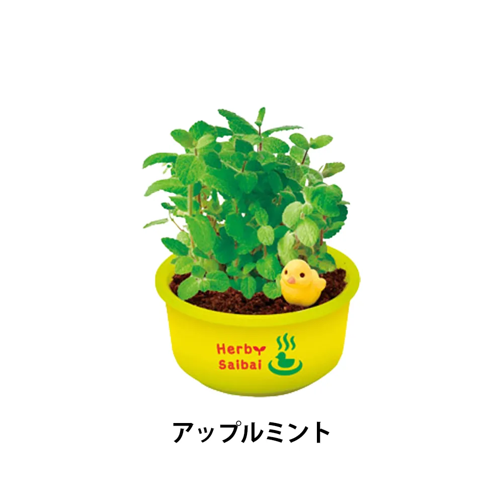 育てるカプセル ゆ桶でハーブ栽培