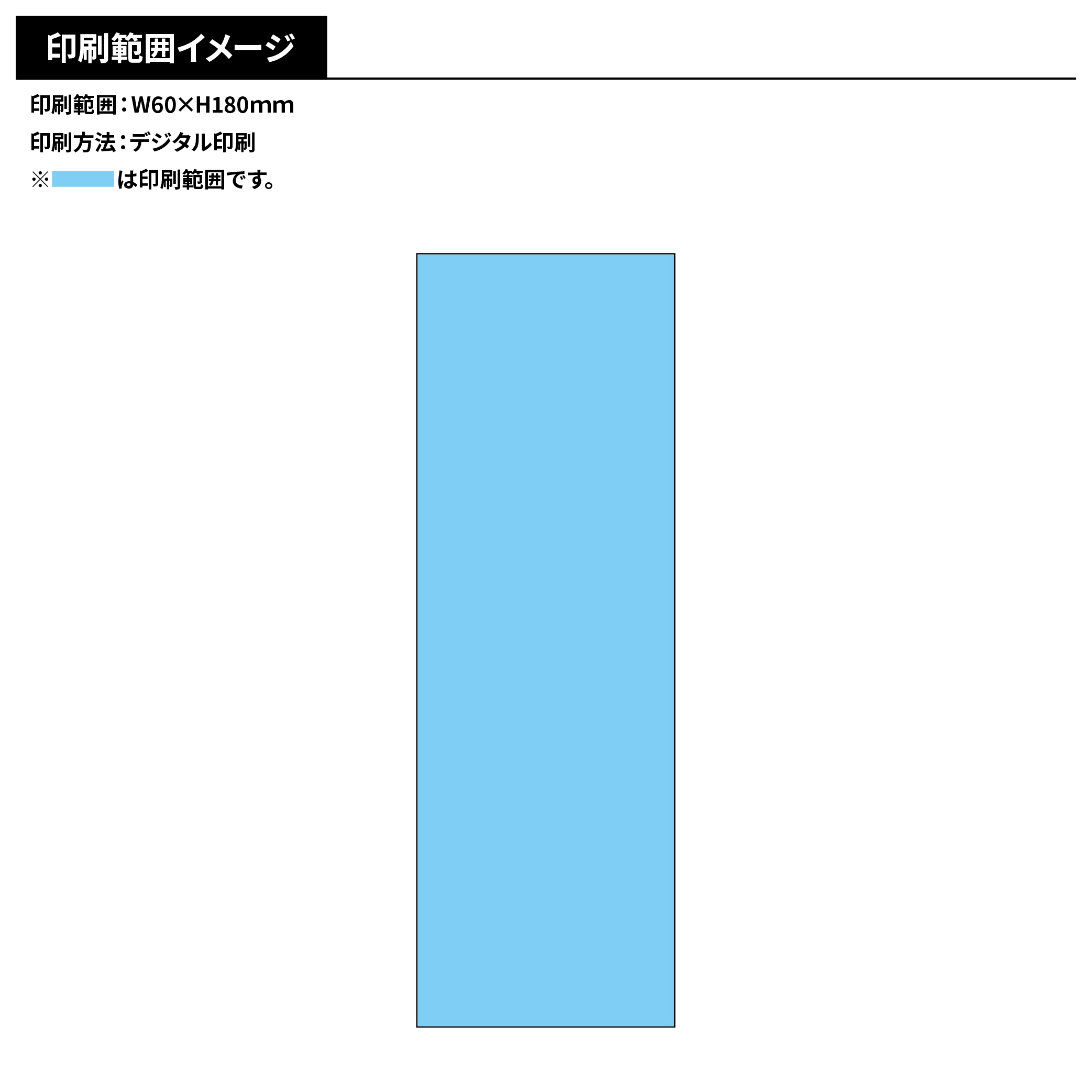レプリカチケット(艶あり)