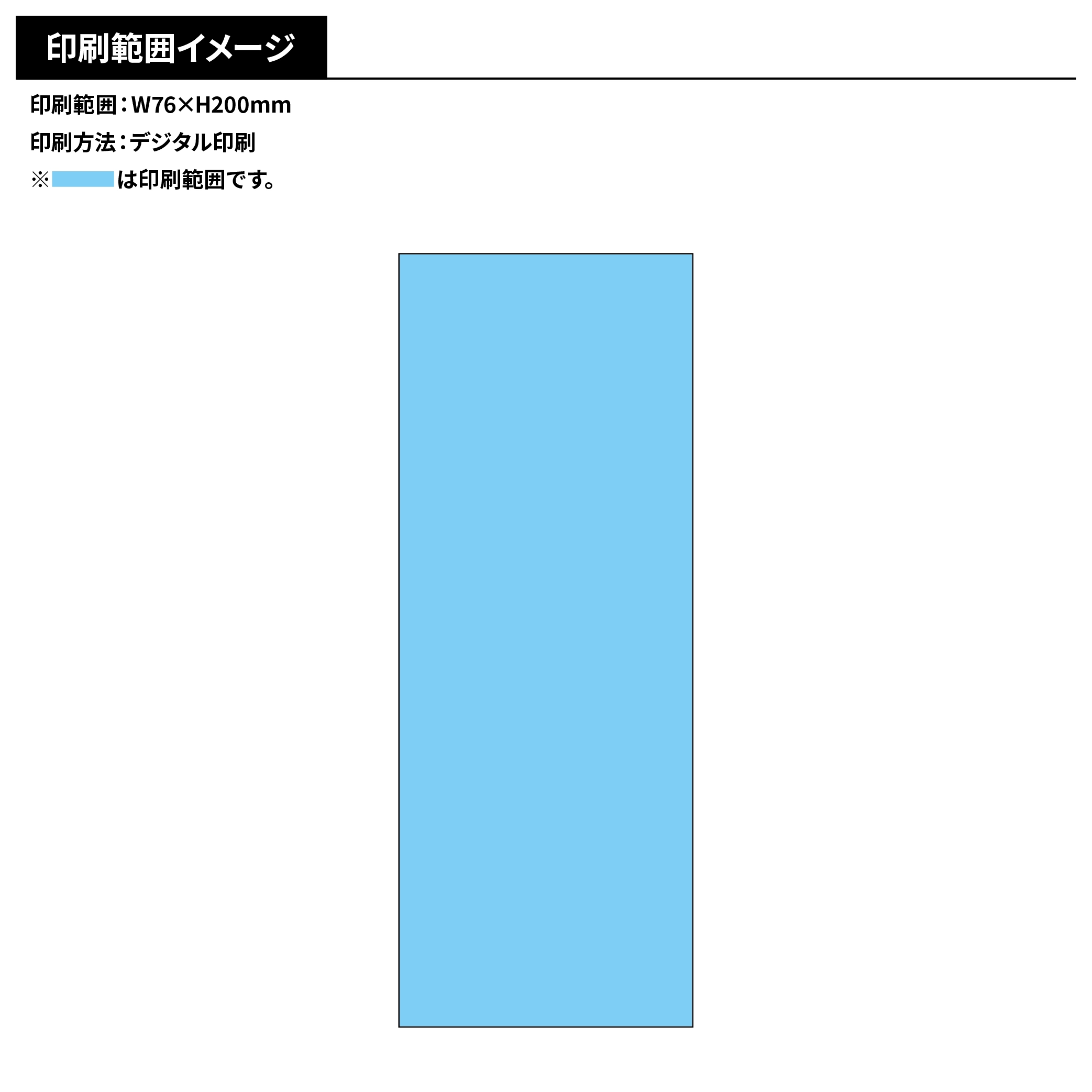 レプリカチケット(艶あり)