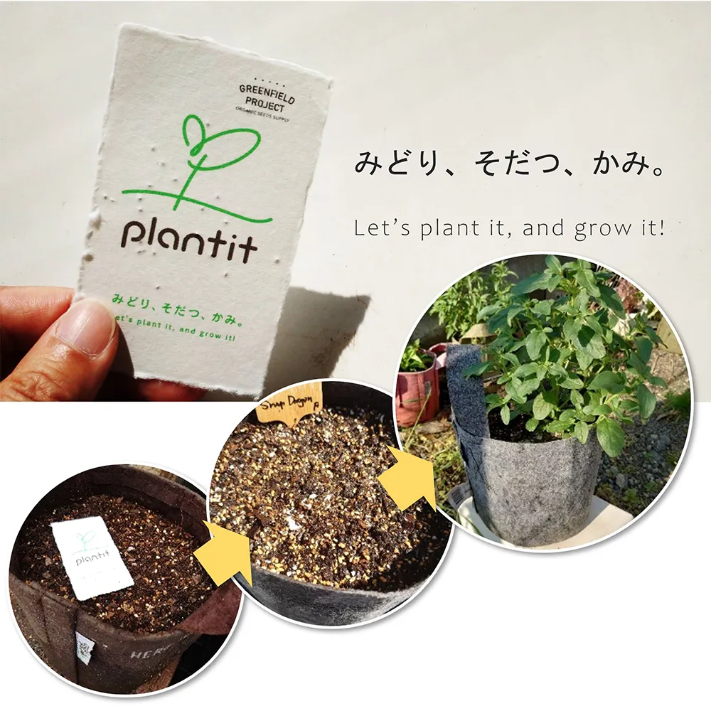 Plantitカード(台紙オリジナル)