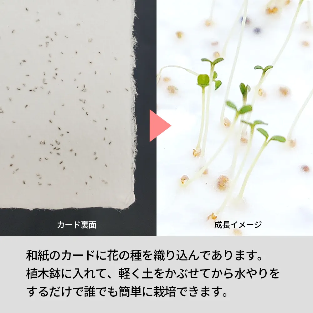 Plantitカード(既製台紙)