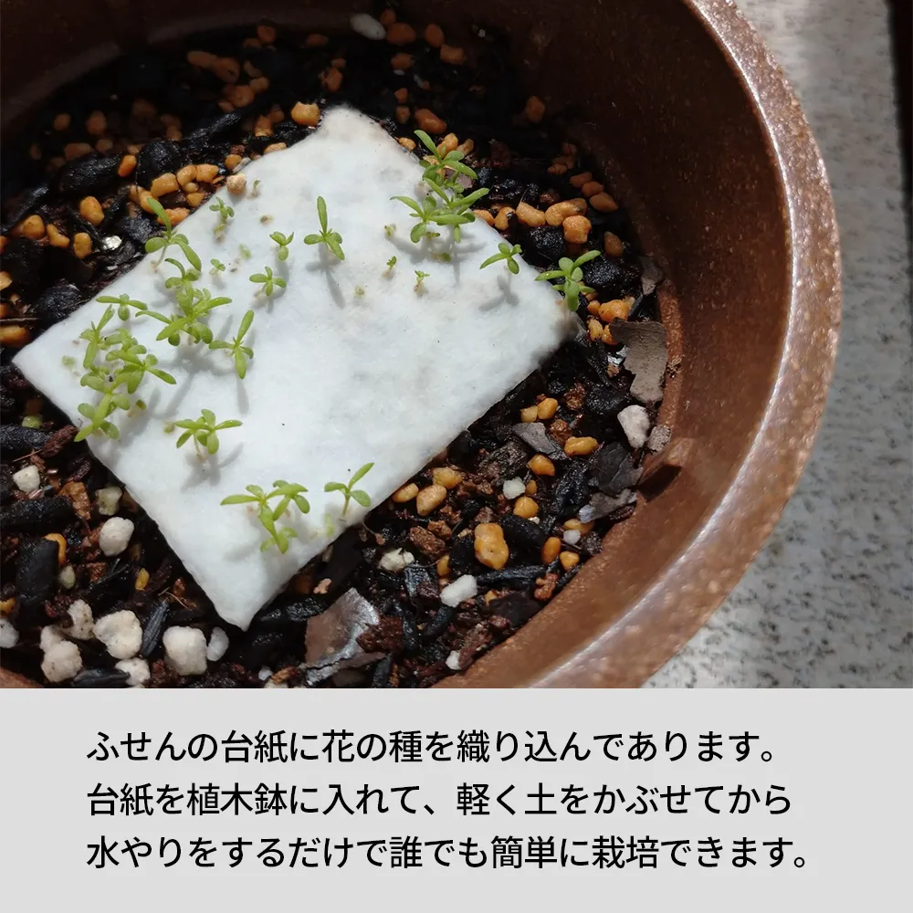 Plantitふせん