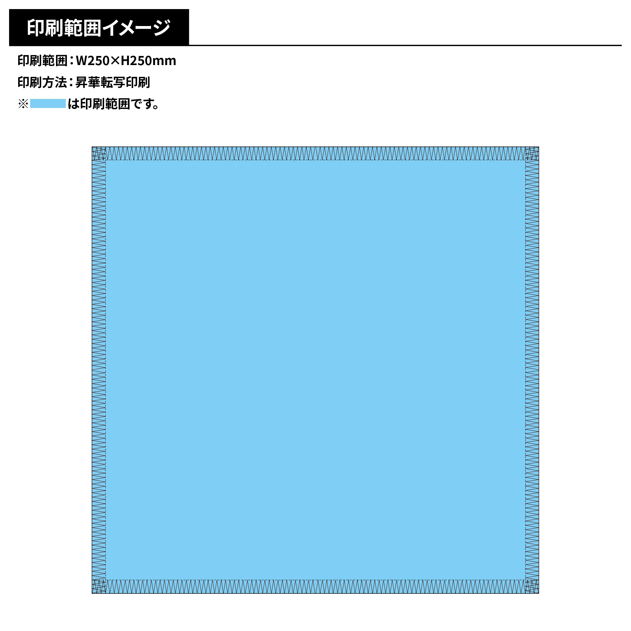 ピクチャースタイル ハンドタオル