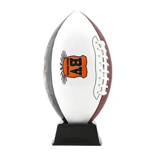 写ボール(アメリカンフットボール)