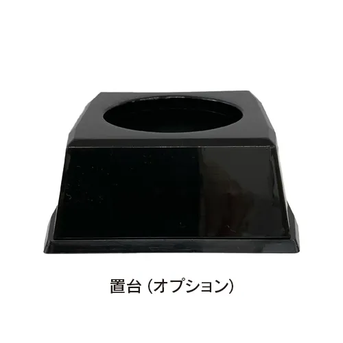 写ボール(アメリカンフットボール)