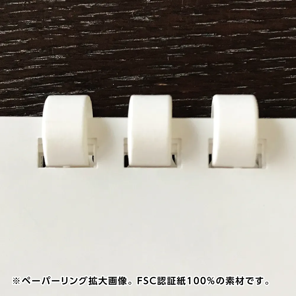 スタンダード卓上エコカレンダー フルカラー(IW105)