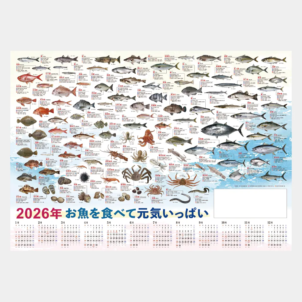 特選.お魚年表 NB4001