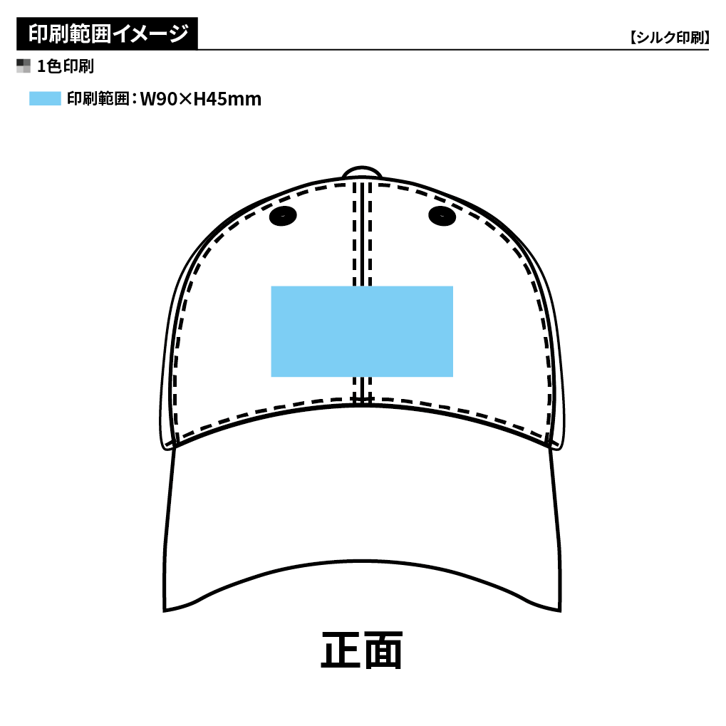 ファンクションキャップ Ver.10