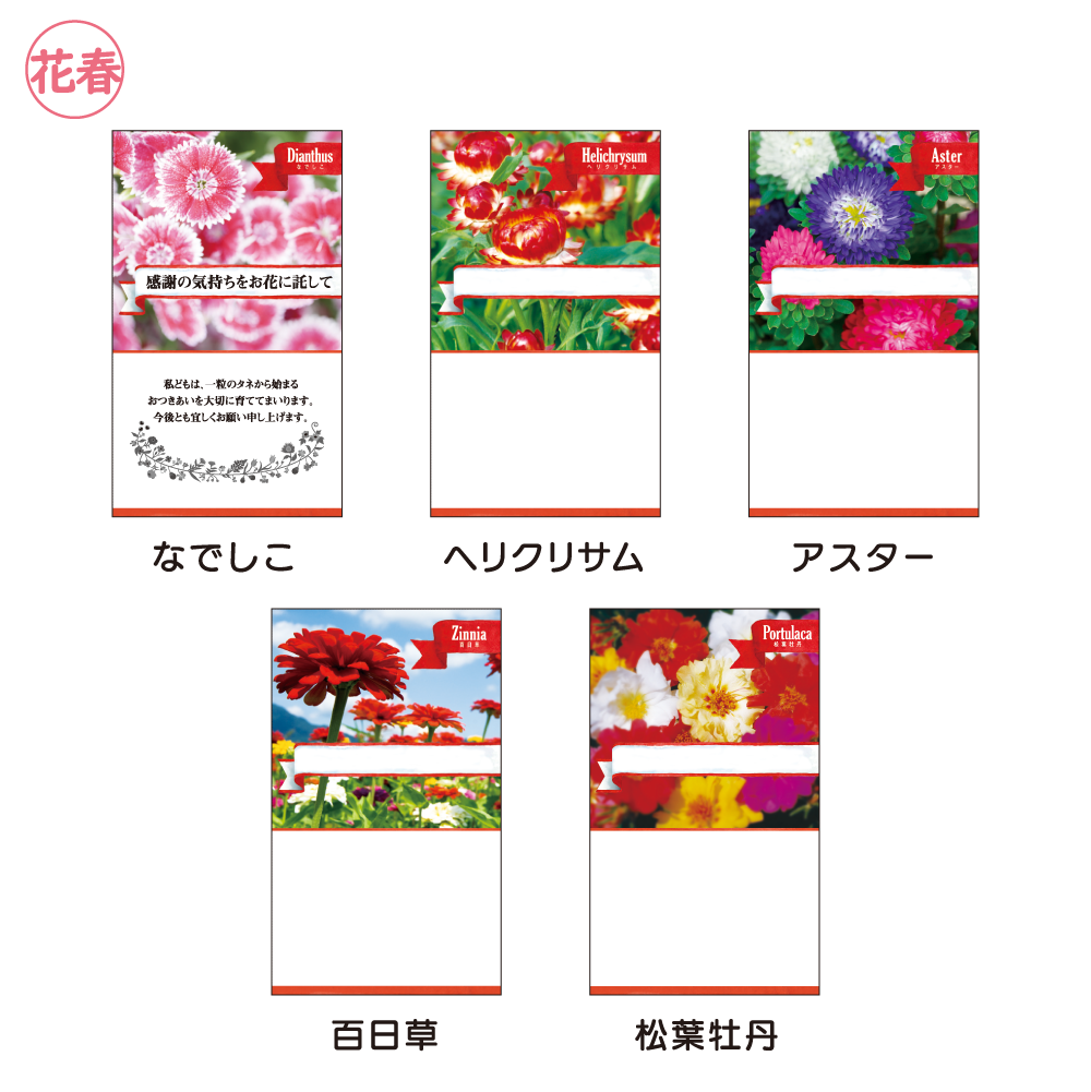花の種子(スタンダード)