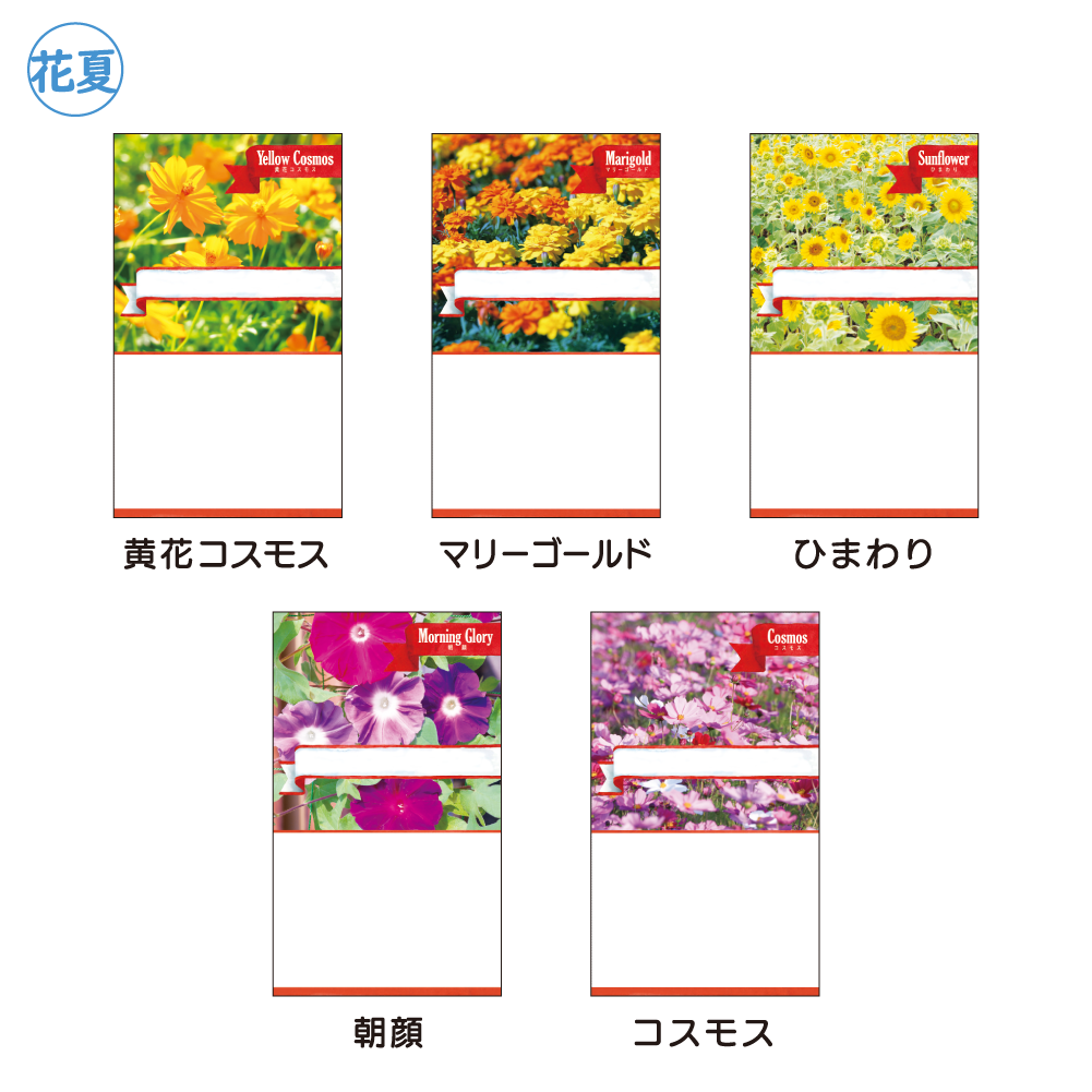 花の種子(スタンダード)