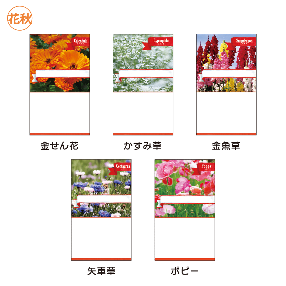 花の種子(スタンダード)