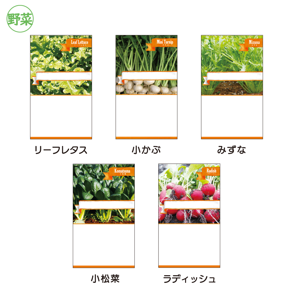 野菜の種子(スタンダード)