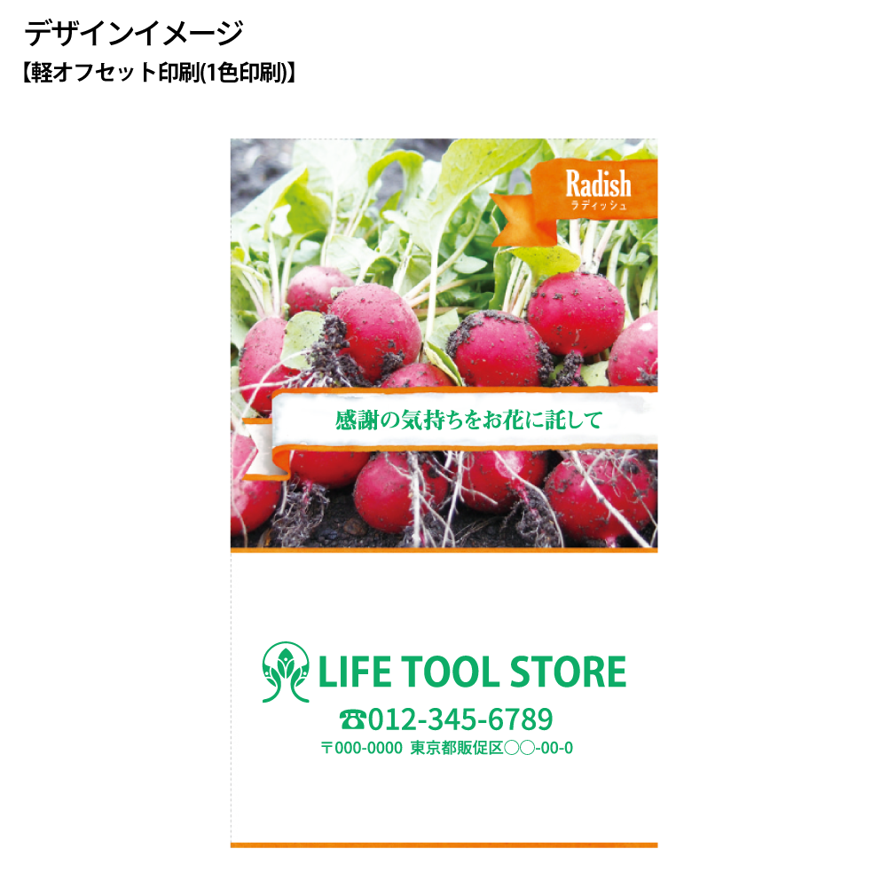 野菜の種子(スタンダード)