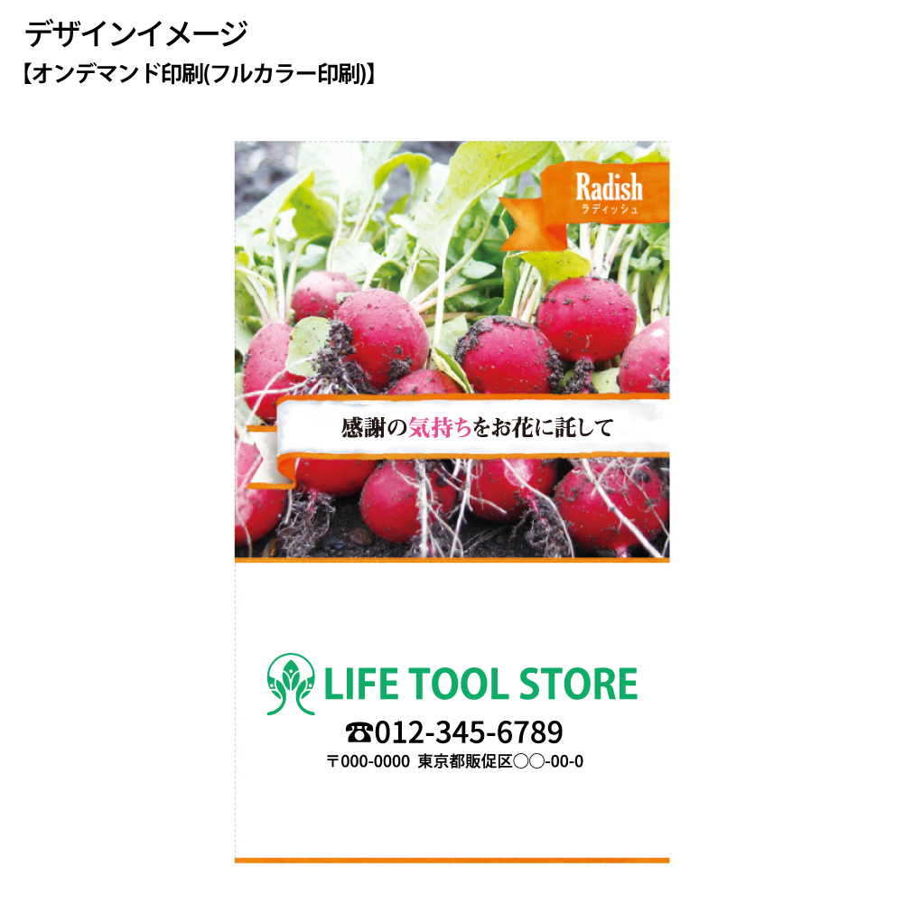 野菜の種子(スタンダード)