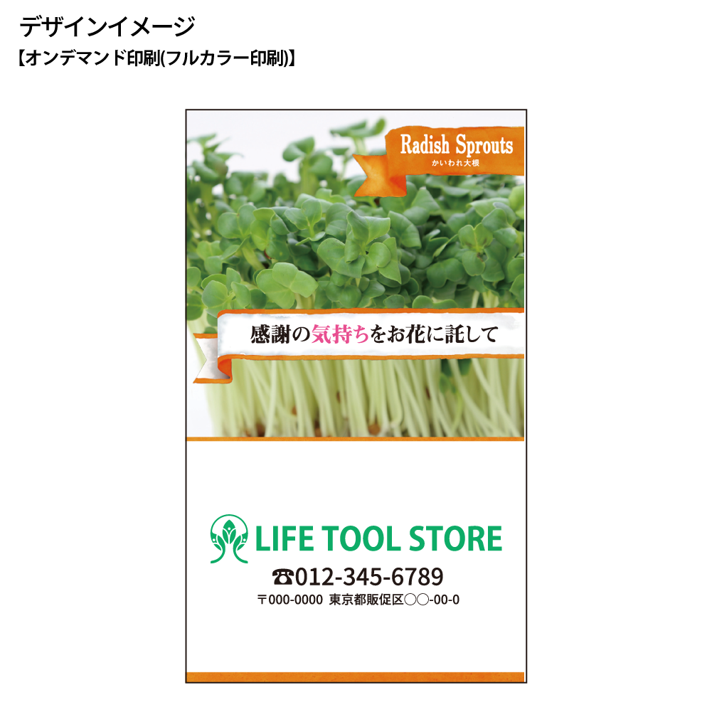 スプラウトの種子