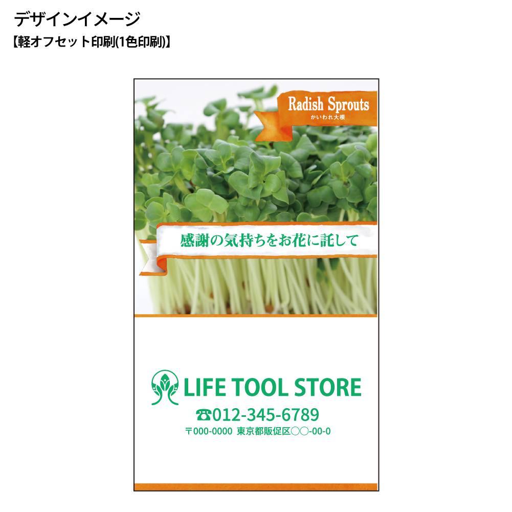 スプラウトの種子