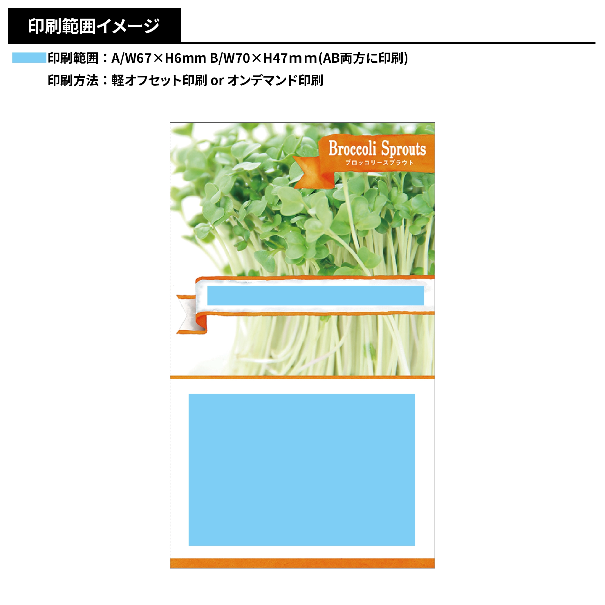 スプラウトの種子