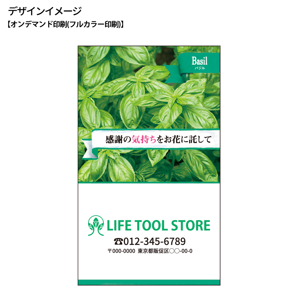 ハーブの種子