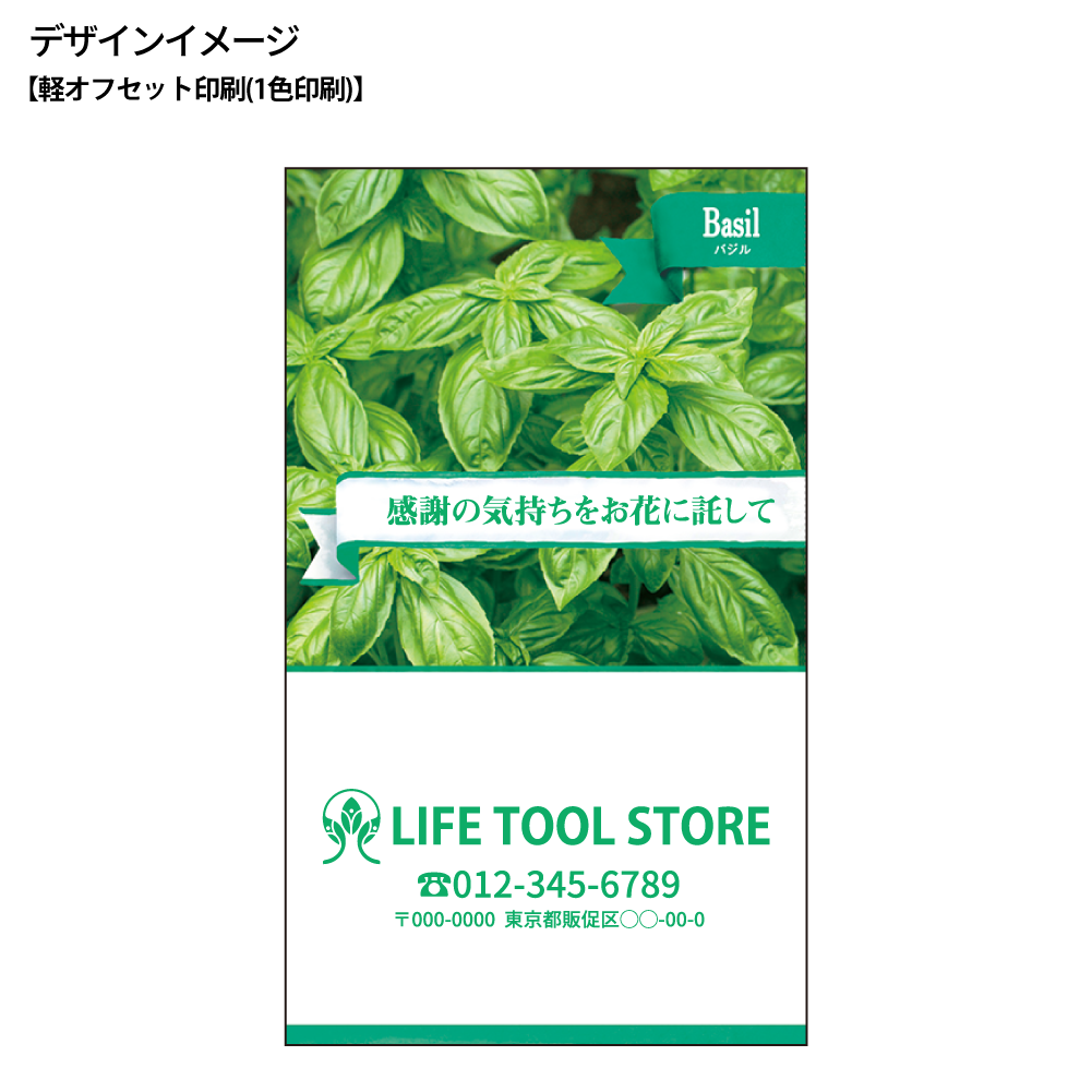 ハーブの種子