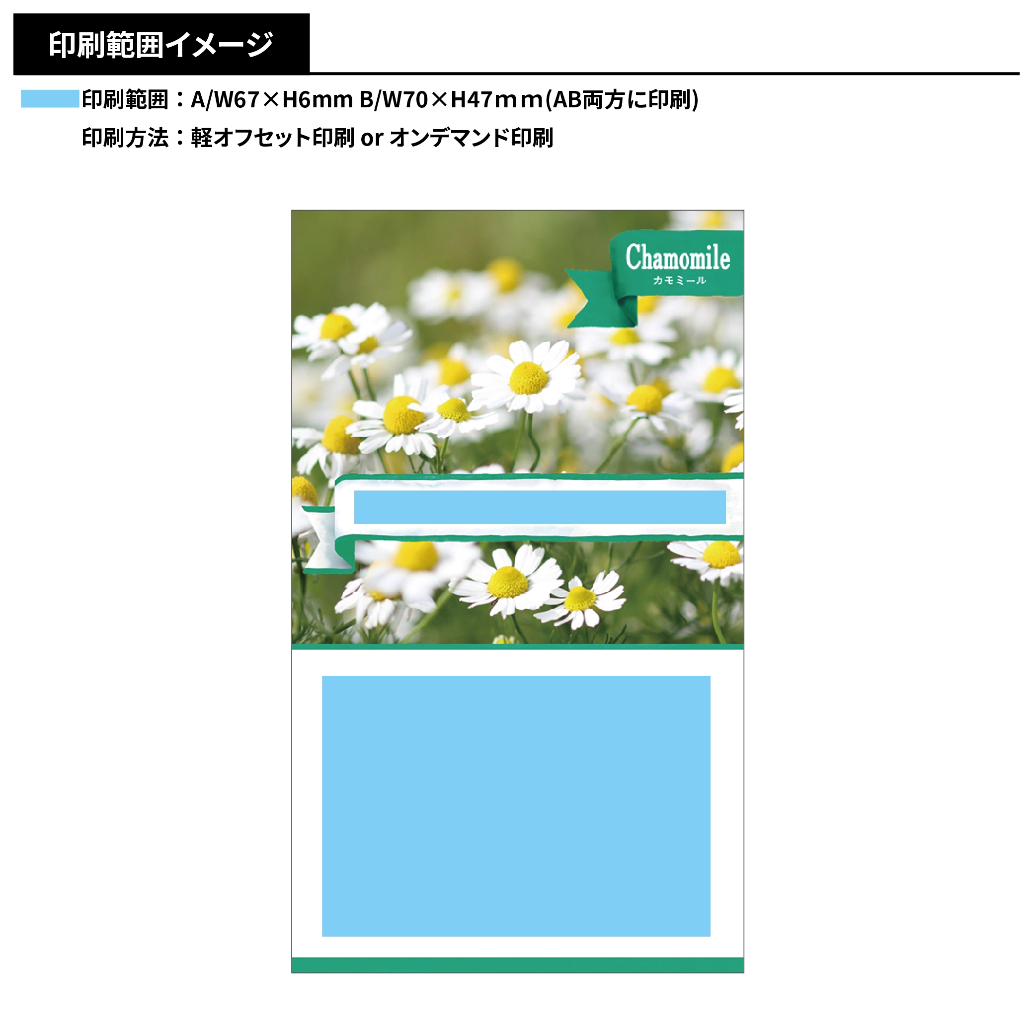 ハーブの種子