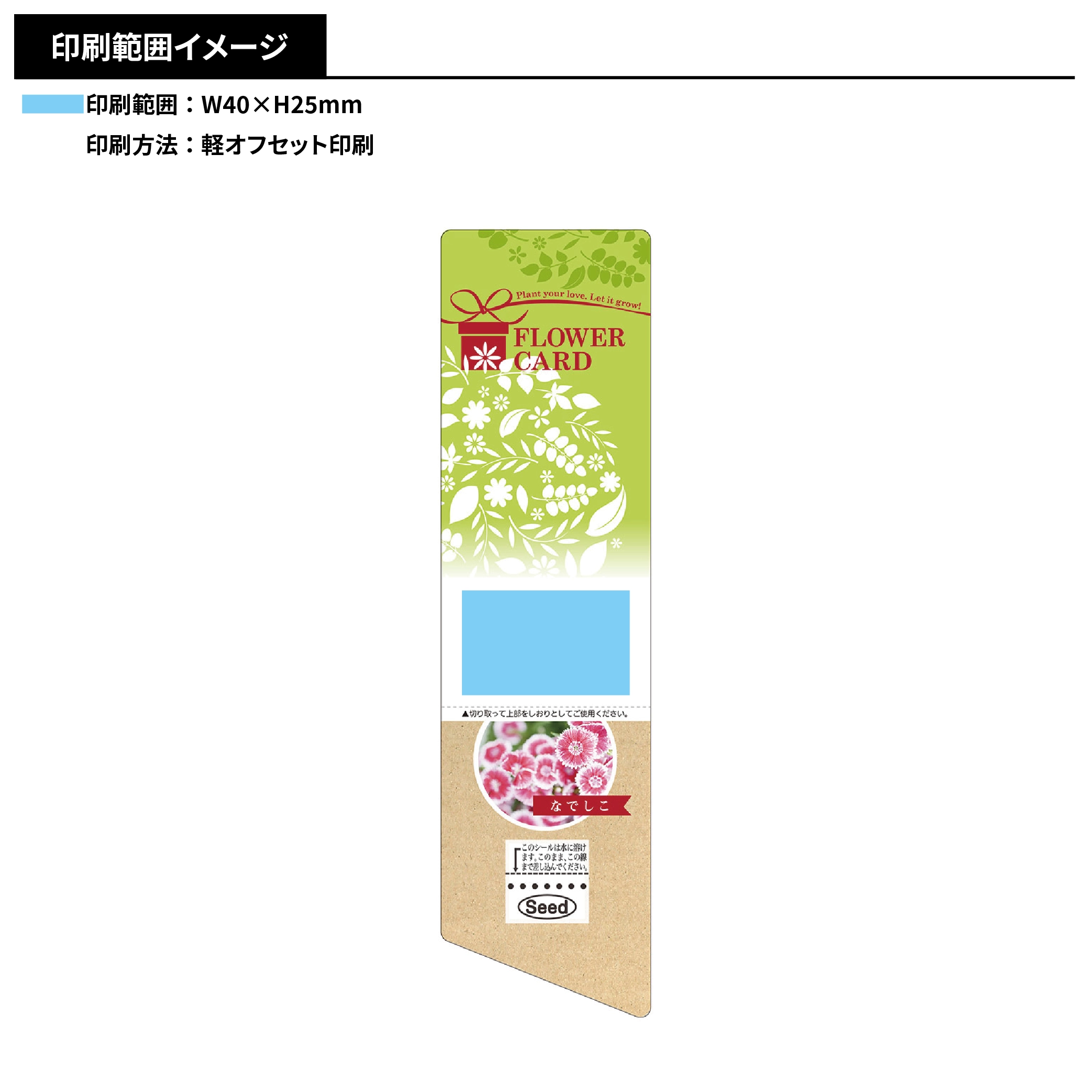 しおり付フラワーカード