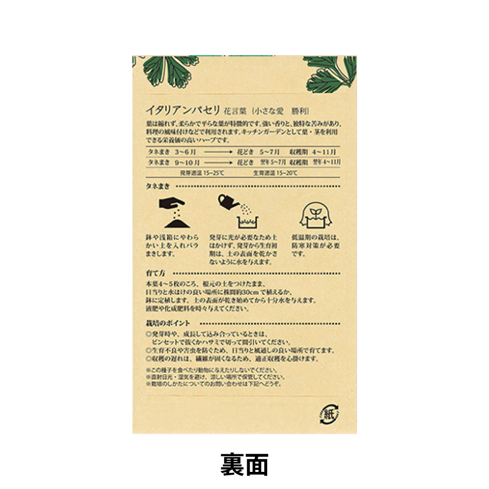 ハーブの種(モダン)