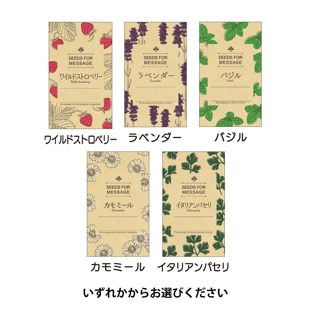 ハーブの種(モダン)