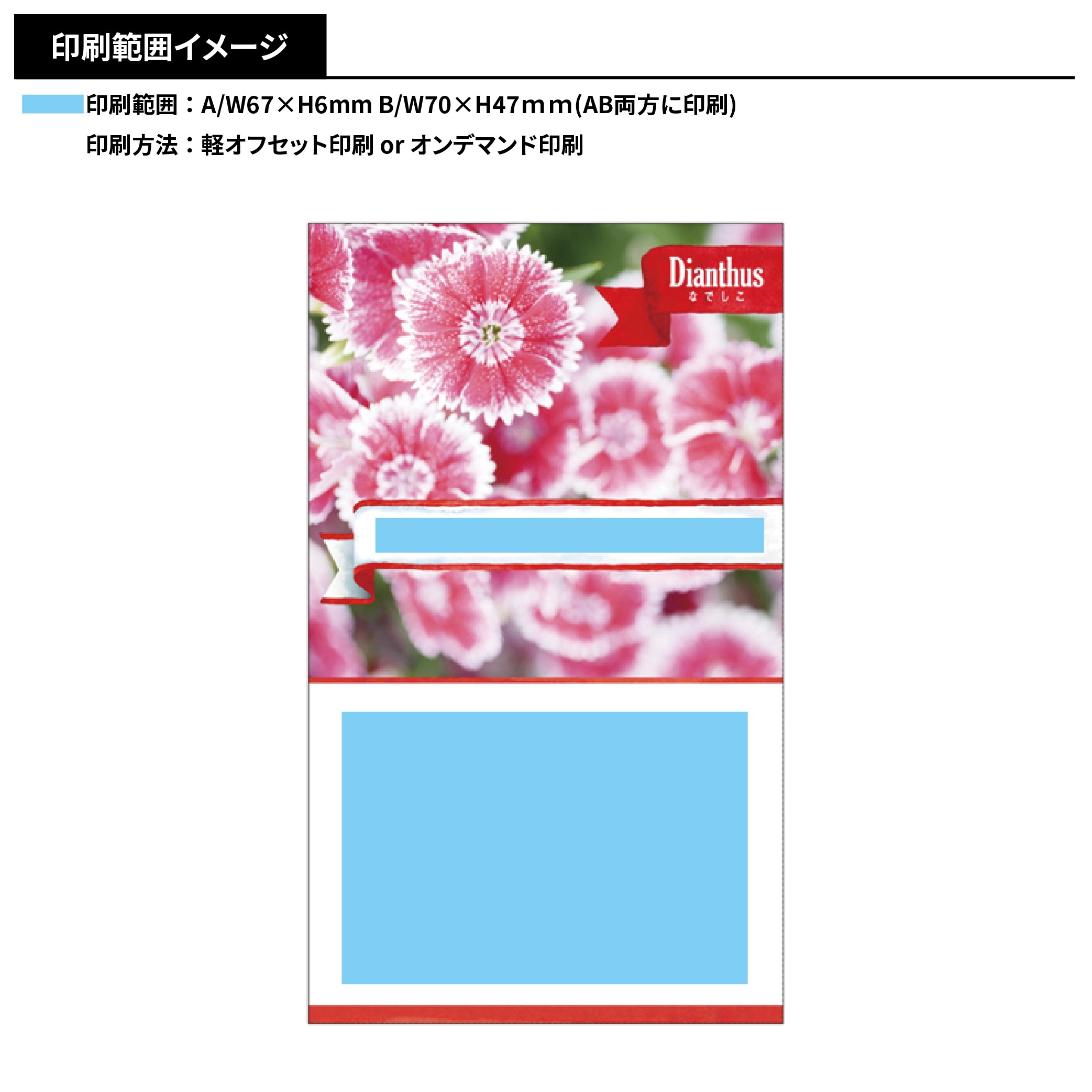 花の種子(スタンダード)