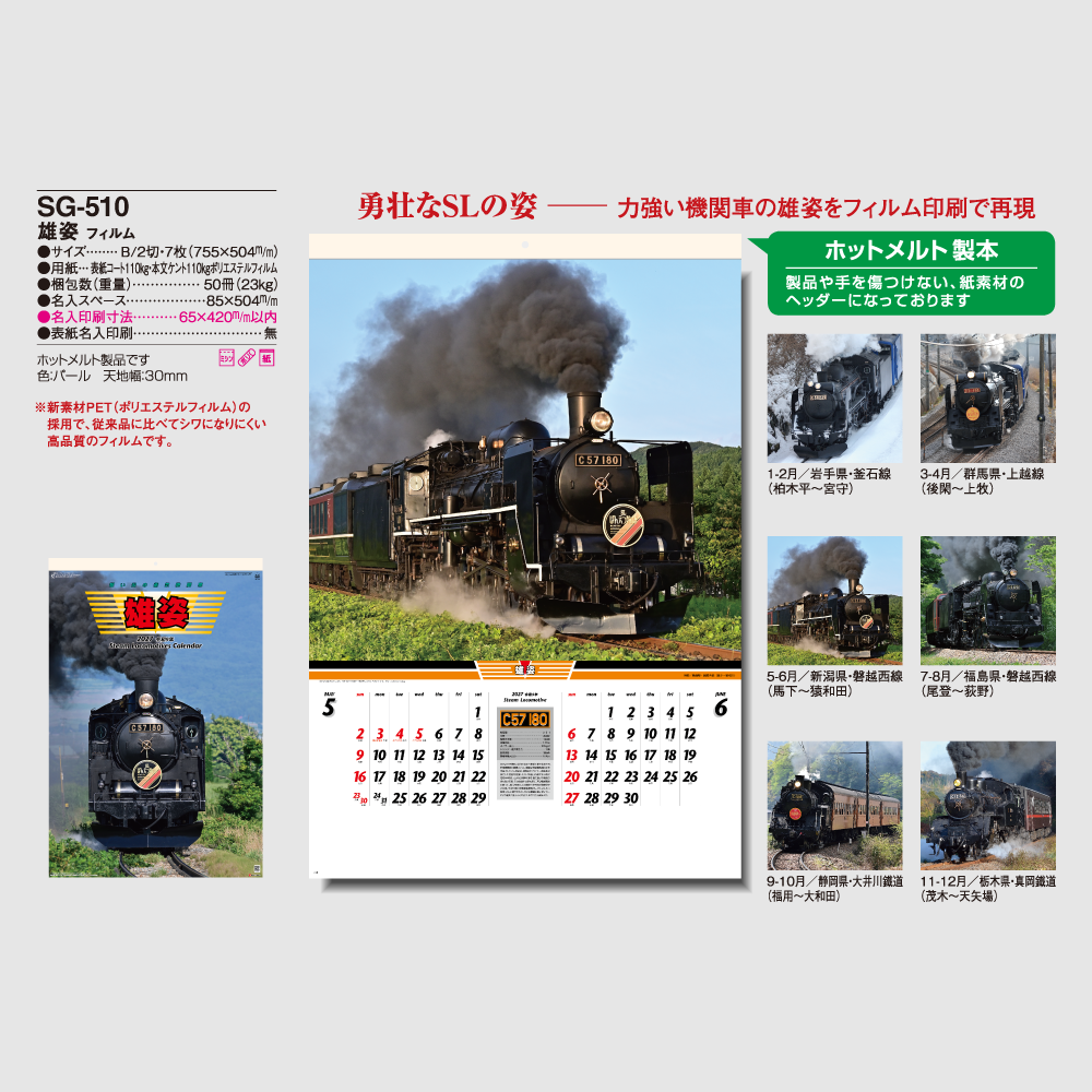雄姿 SG510