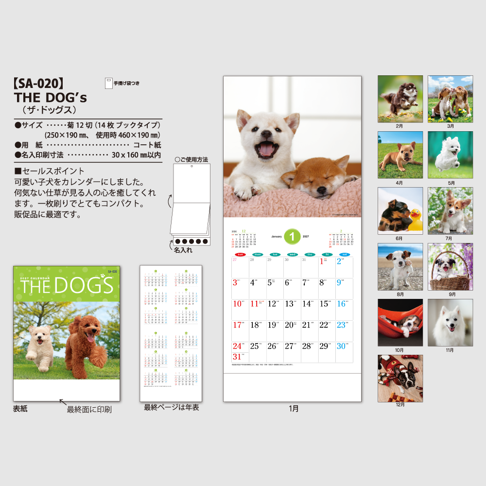 THE DOG'S(ザ･ドッグス)　SA020