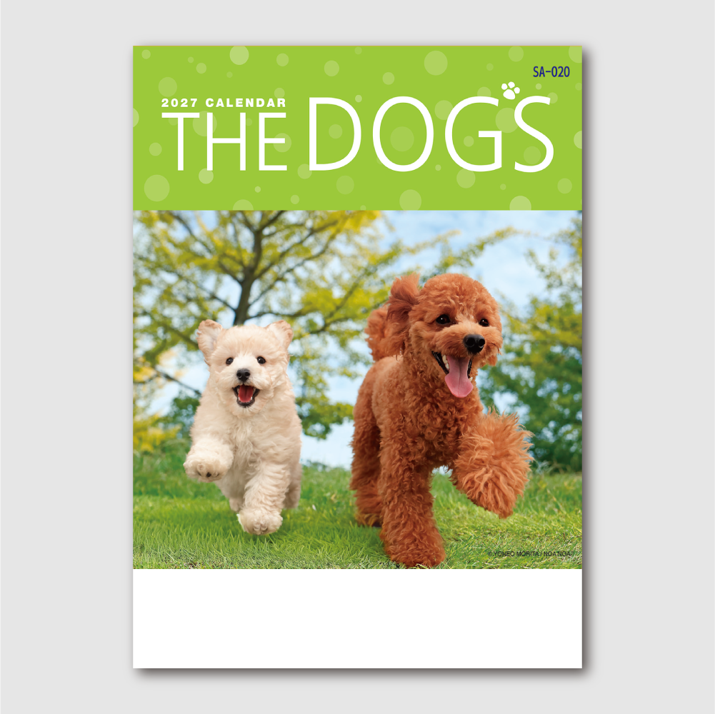 THE DOG'S(ザ･ドッグス)　SA020
