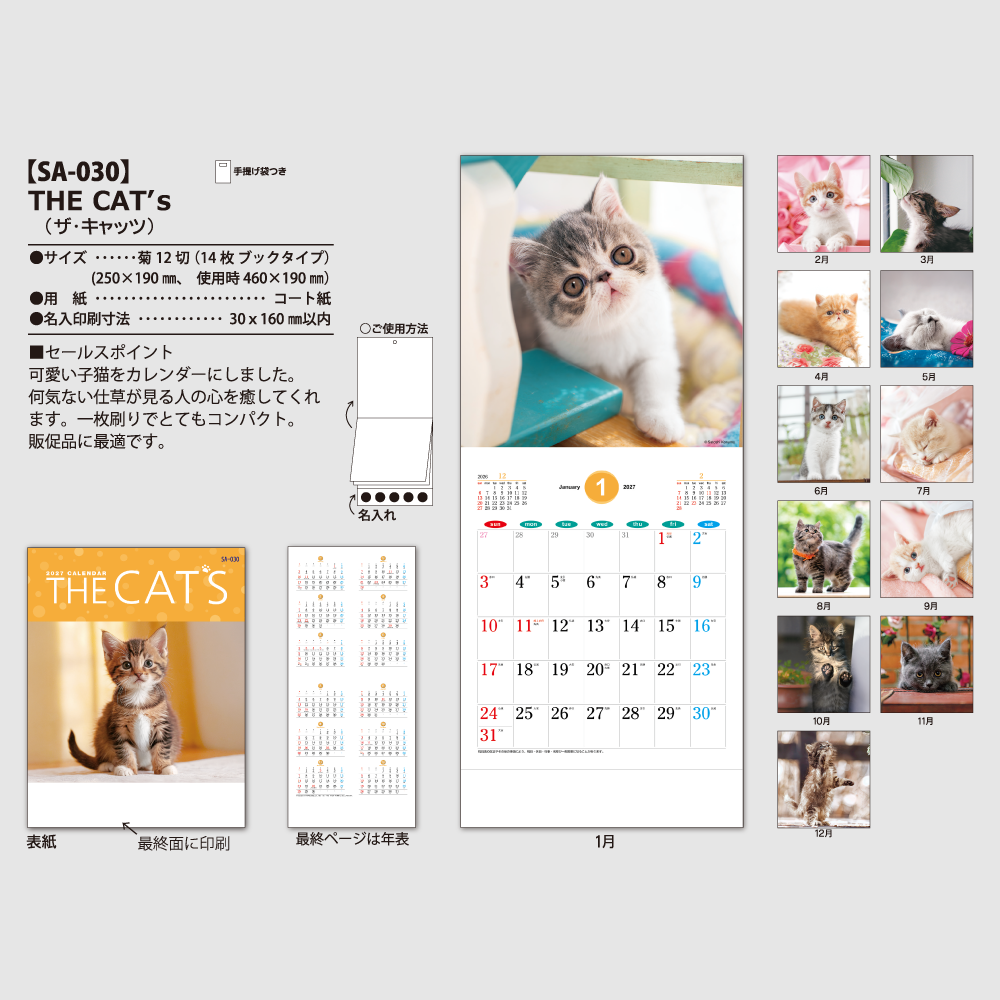THE CAT'S(ザ･キャッツ)　SA030