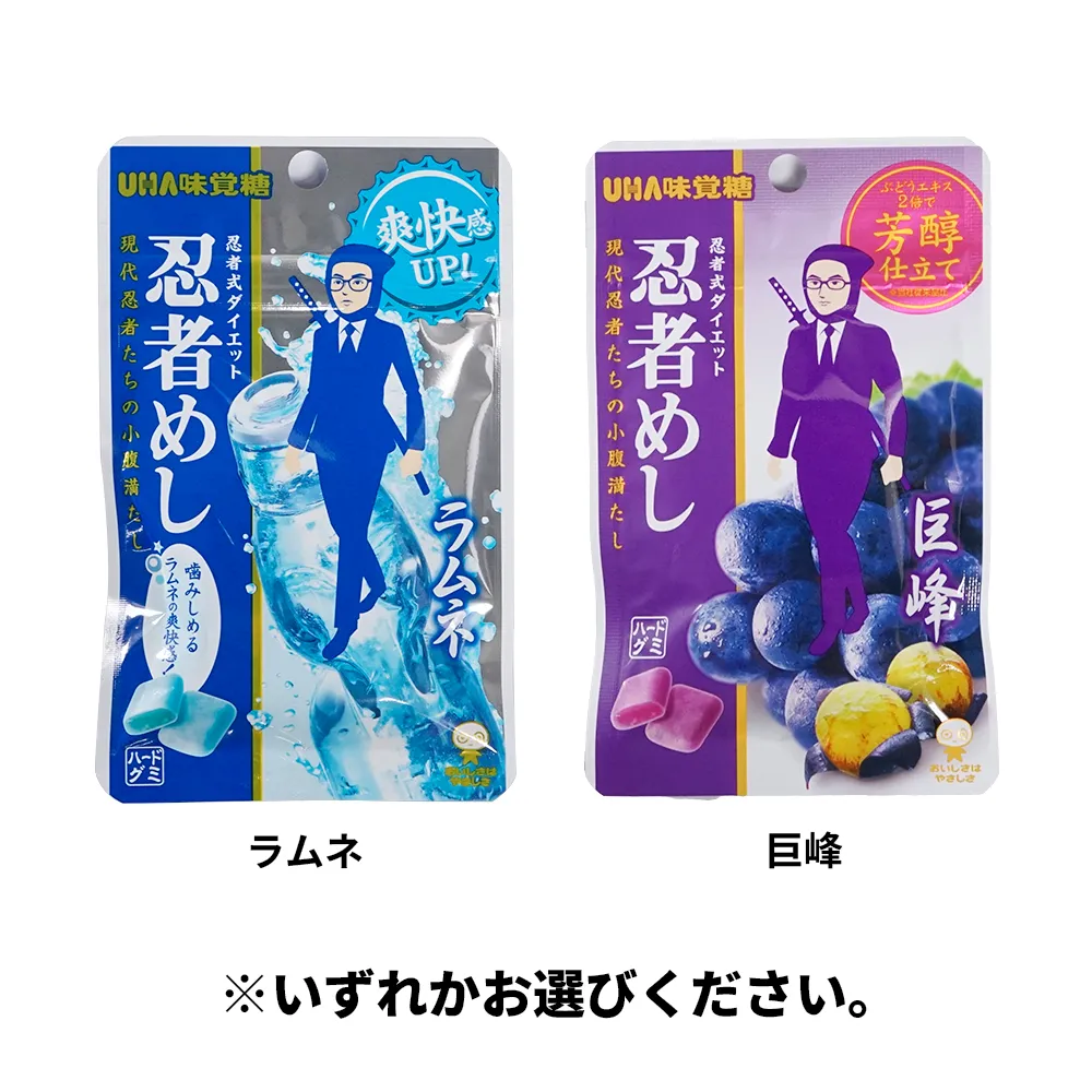 忍者めし(オリジナルチラシ)