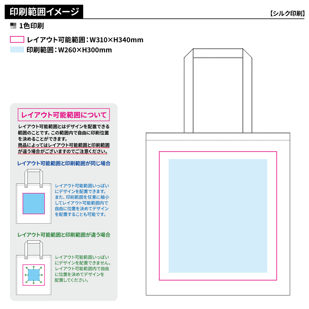 ライトキャンバスフラットバッグ(LL)ナチュラル