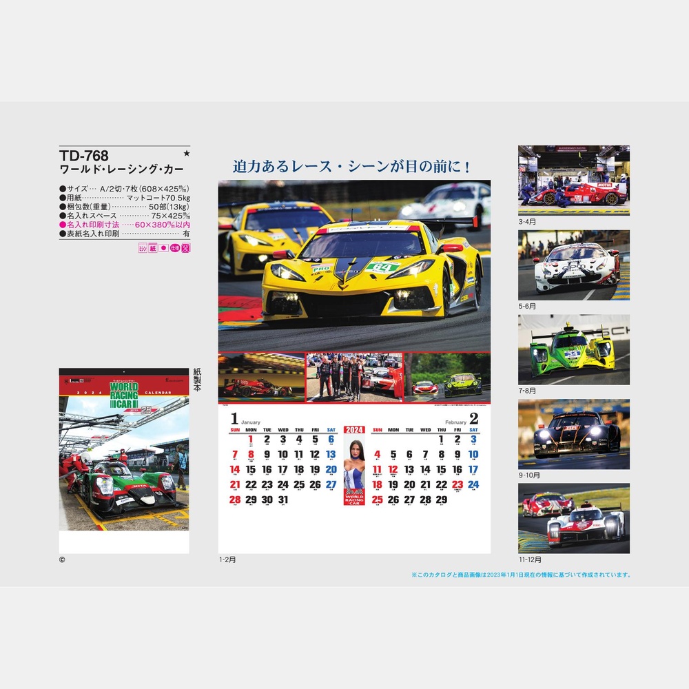 ワールド・レーシング・カー TD768