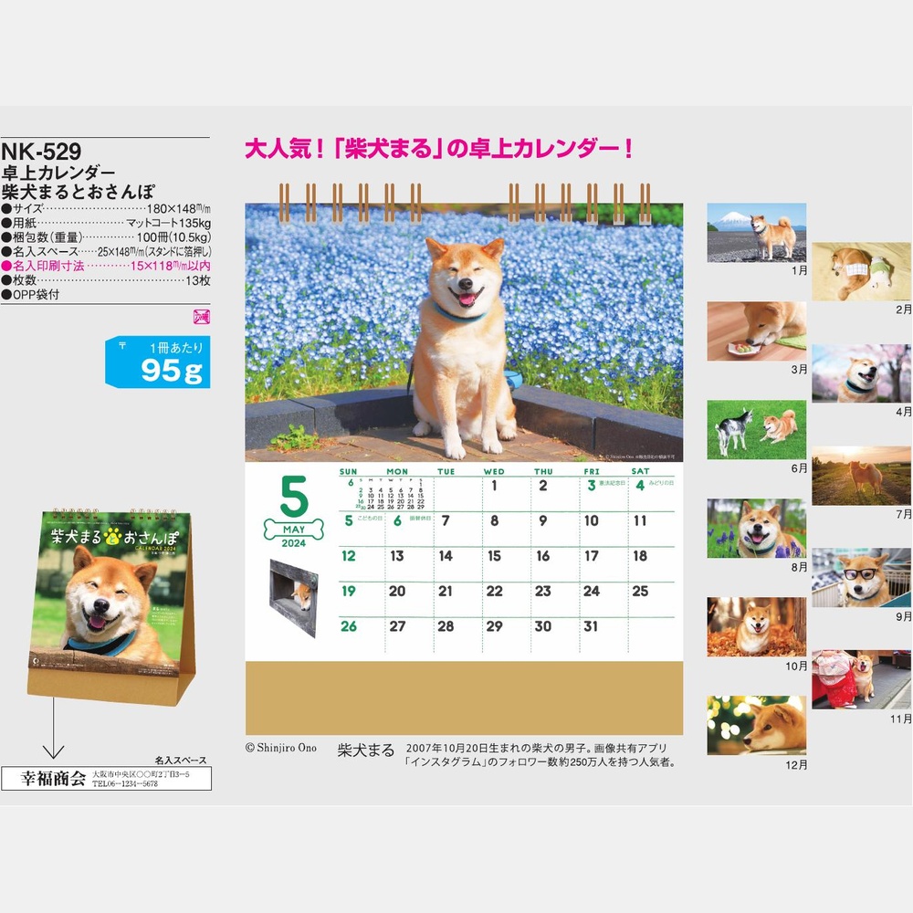 卓上カレンダー　柴犬まるとおさんぽNK529