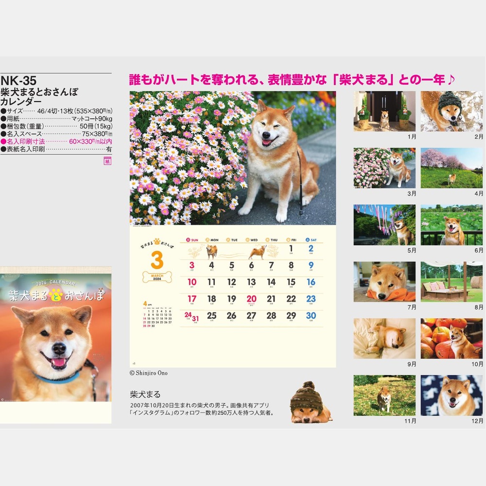 柴犬まるとおさんぽカレンダー　NK35