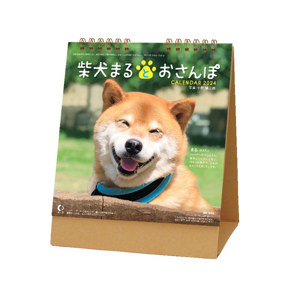 卓上カレンダー　柴犬まるとおさんぽNK529