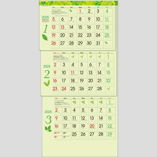 グリーン3ヶ月eco-上から順タイプ-TD787