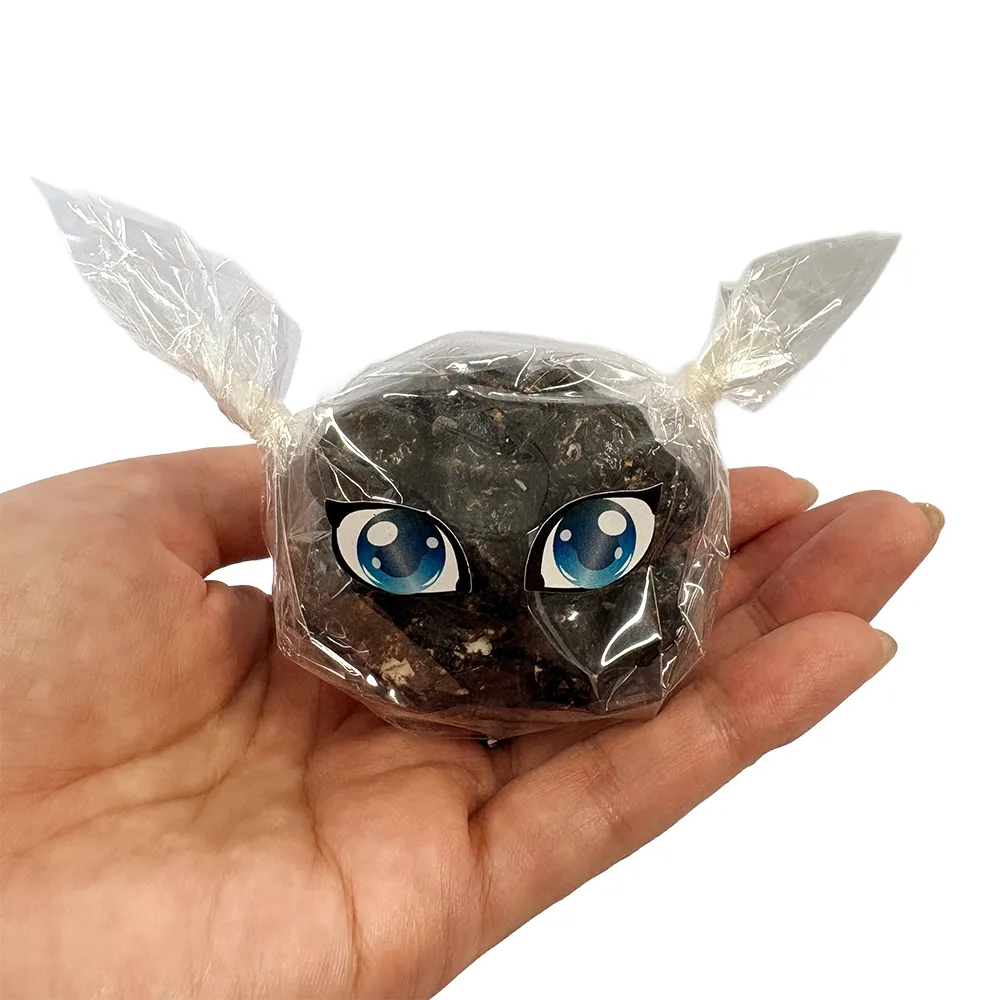 ハロウィンキャッツ
