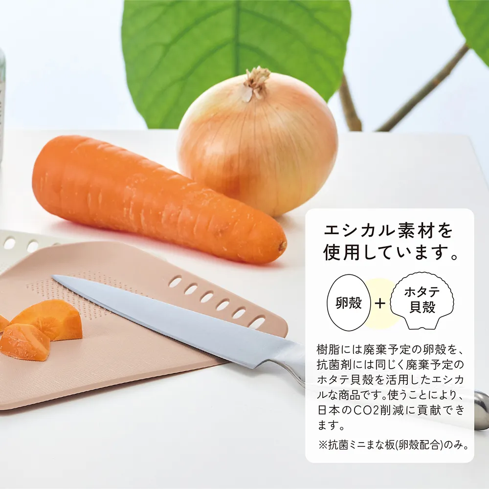 シェコル・抗菌ミニまな板