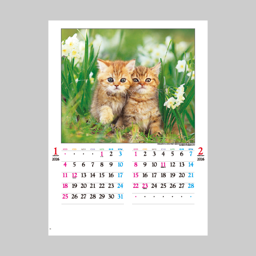 かわいい猫 IC201H