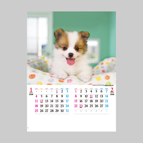 かわいい犬 IC203H