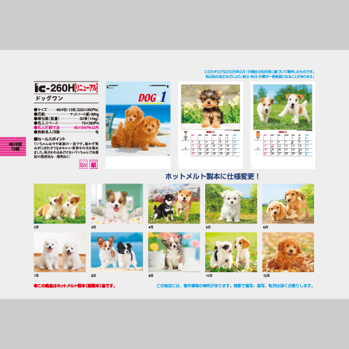 ドッグワン IC260H