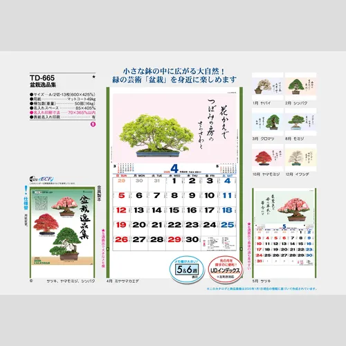 盆栽逸品集　TD665