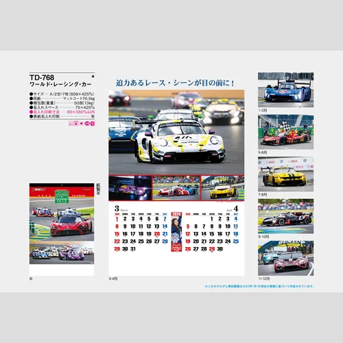 ワールド・レーシング・カー　TD768
