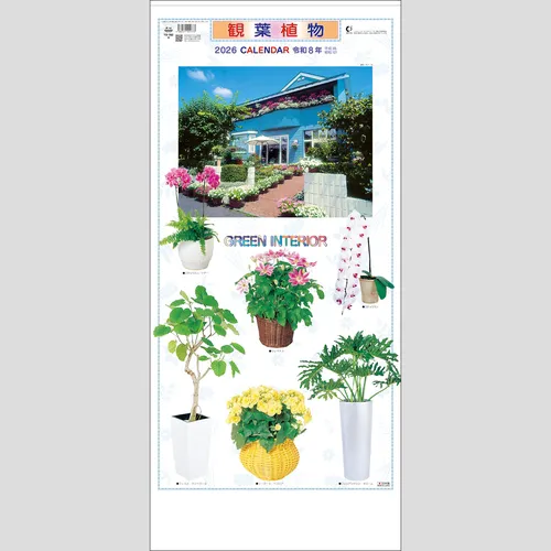 観葉植物　TD782